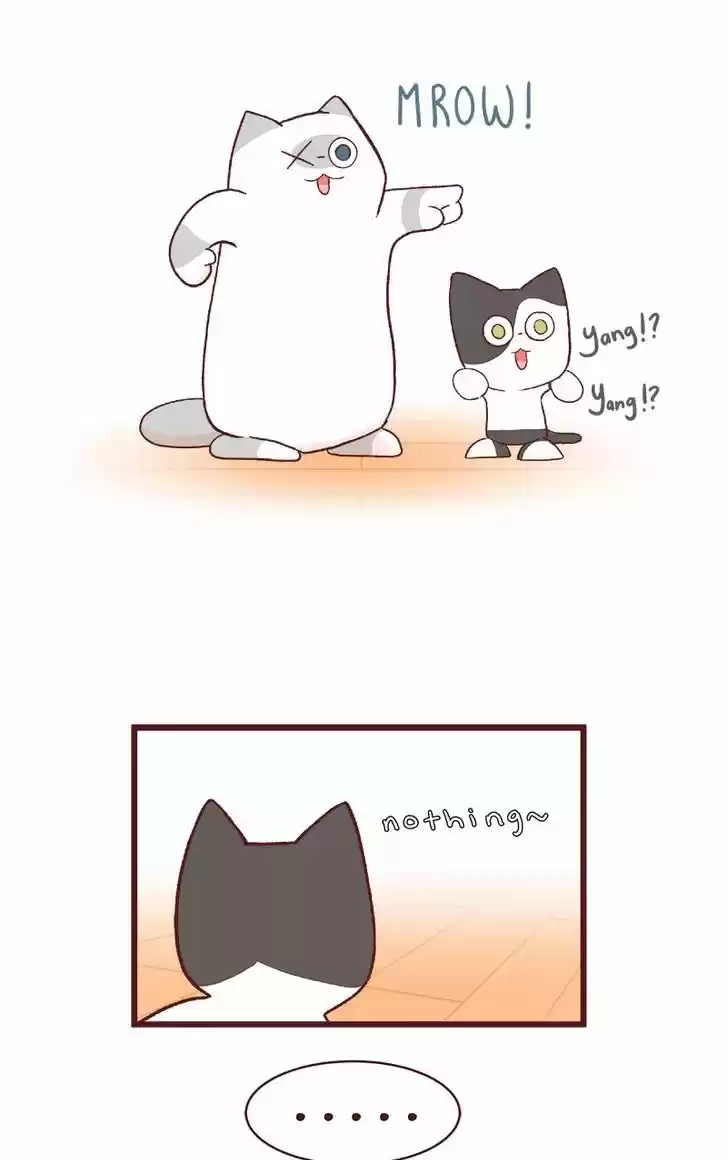 Saphie: The One-Eyed Cat 61