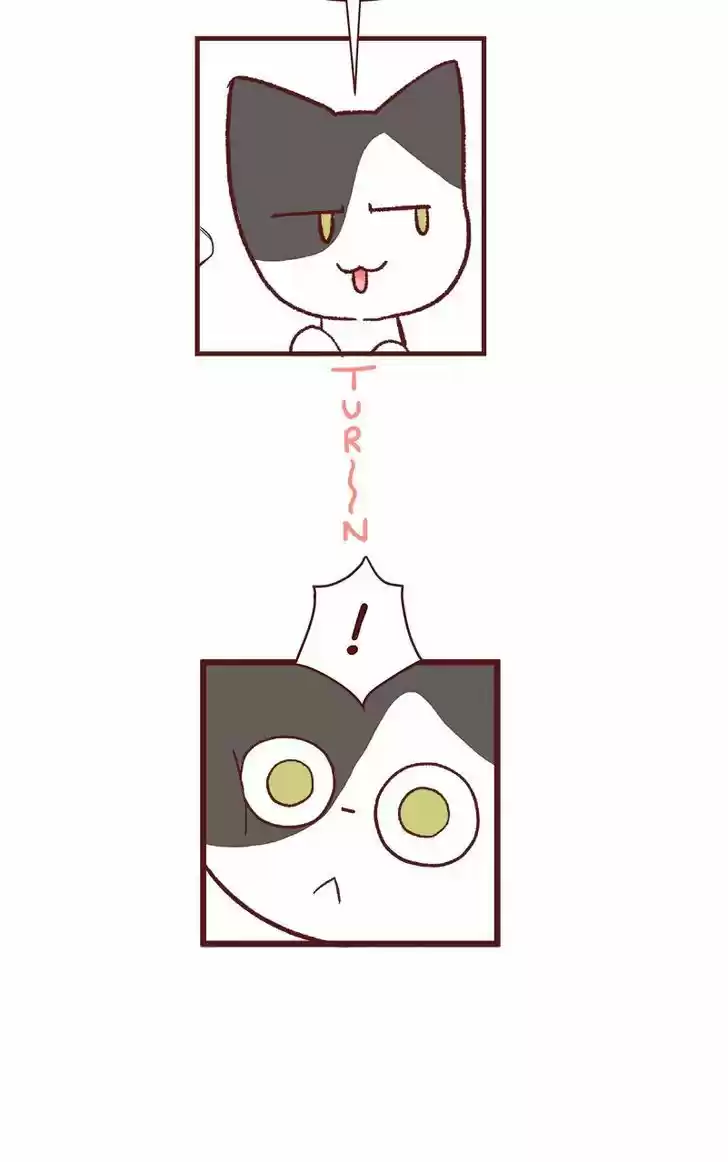 Saphie: The One-Eyed Cat 61