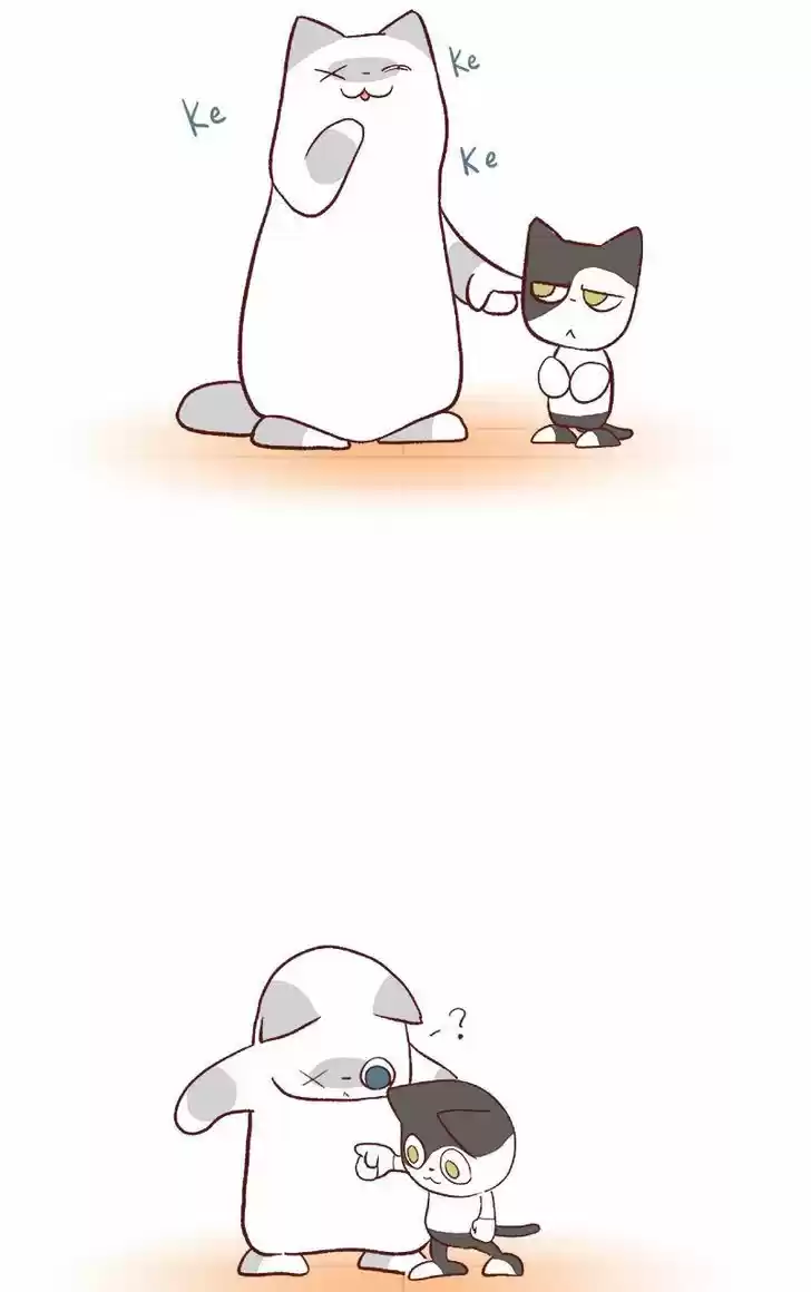 Saphie: The One-Eyed Cat 61