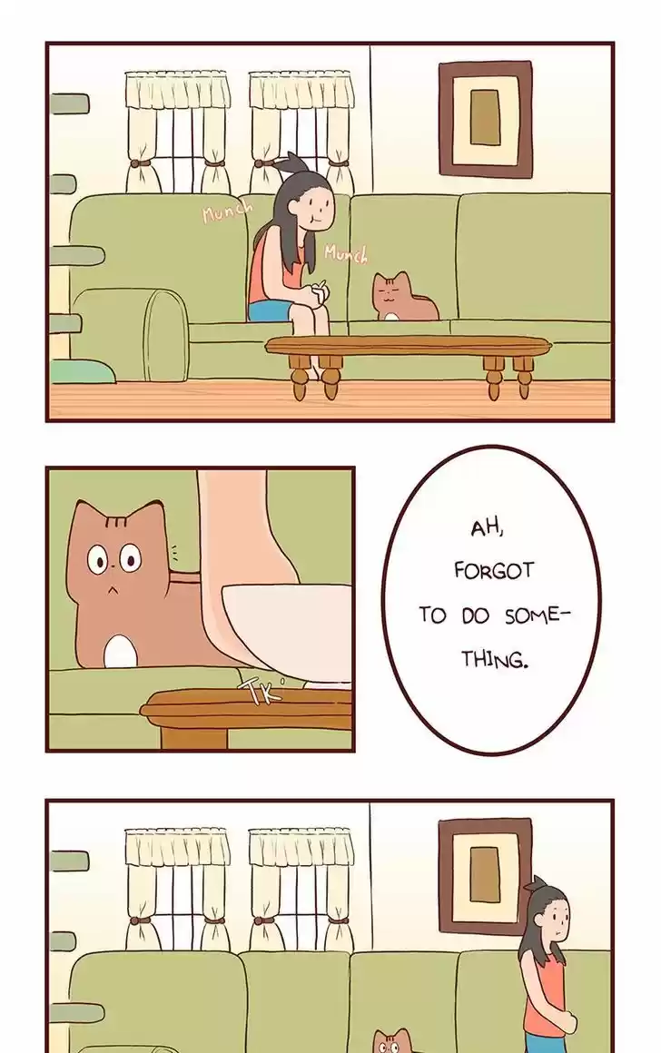 Saphie: The One-Eyed Cat 62