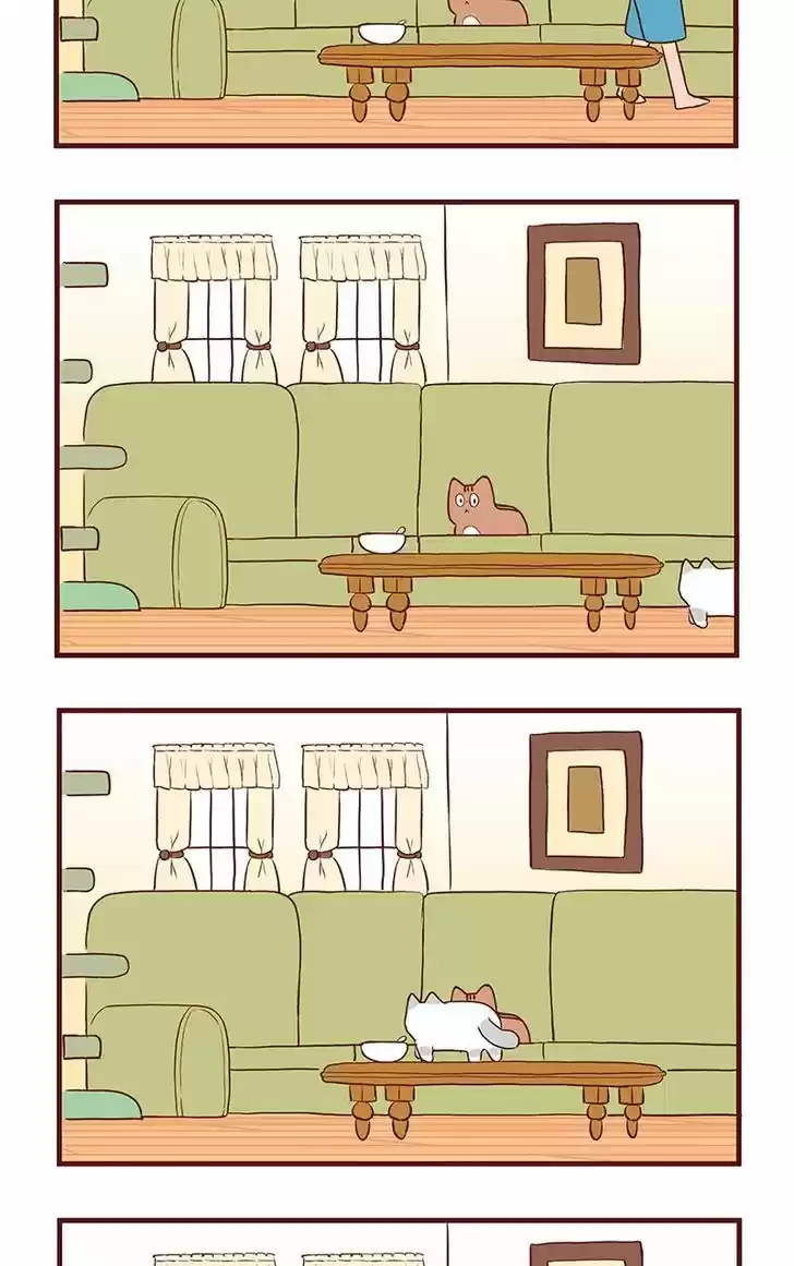 Saphie: The One-Eyed Cat 62