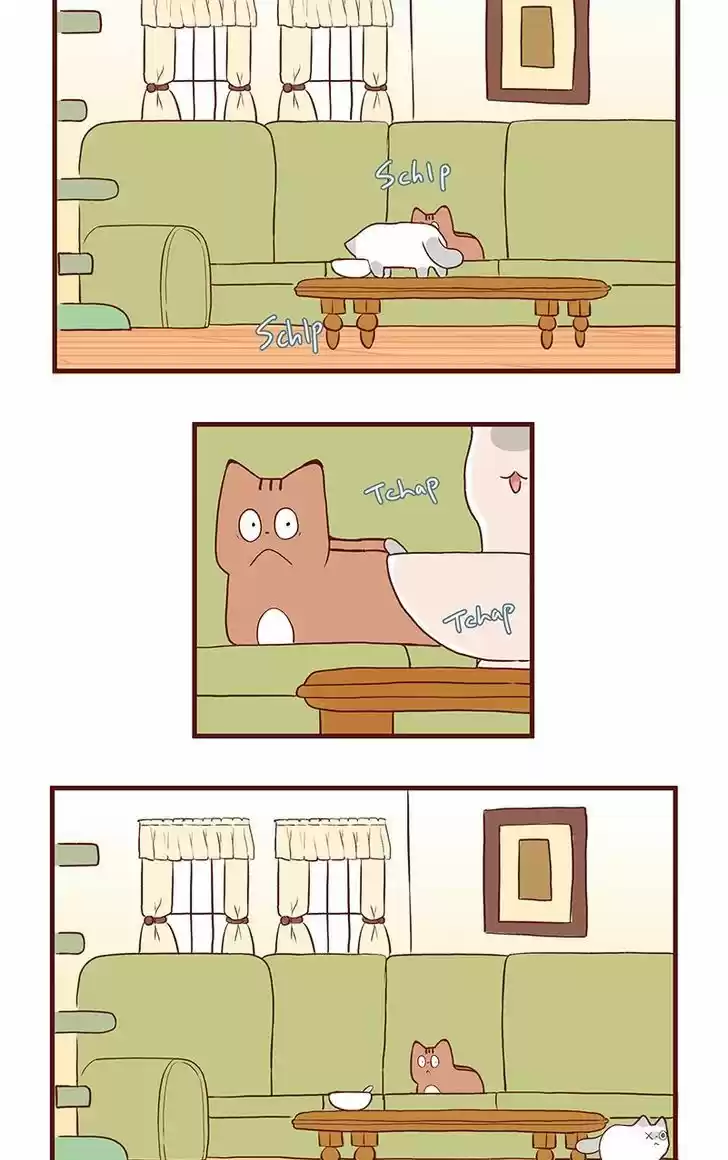 Saphie: The One-Eyed Cat 62