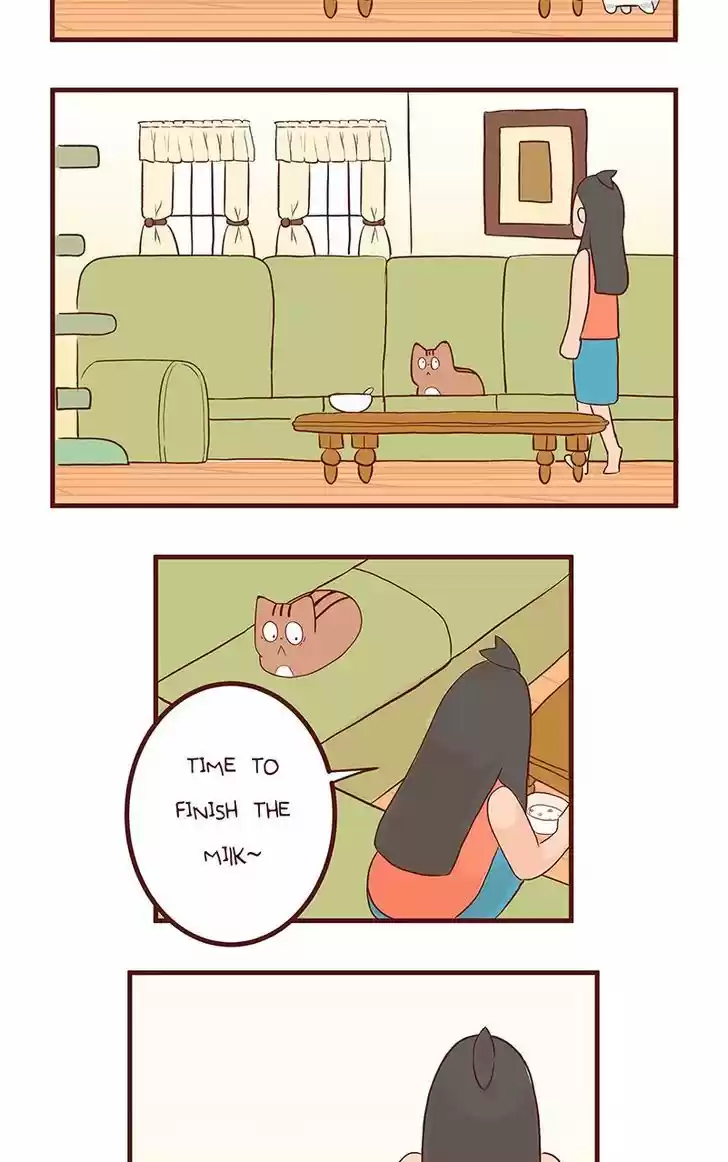 Saphie: The One-Eyed Cat 62