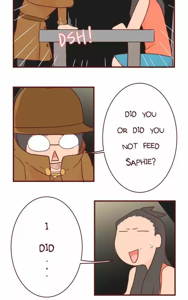 Saphie: The One-Eyed Cat 63