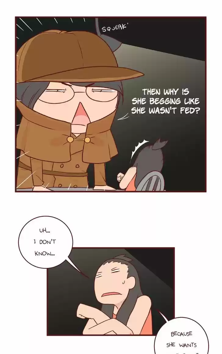 Saphie: The One-Eyed Cat 63