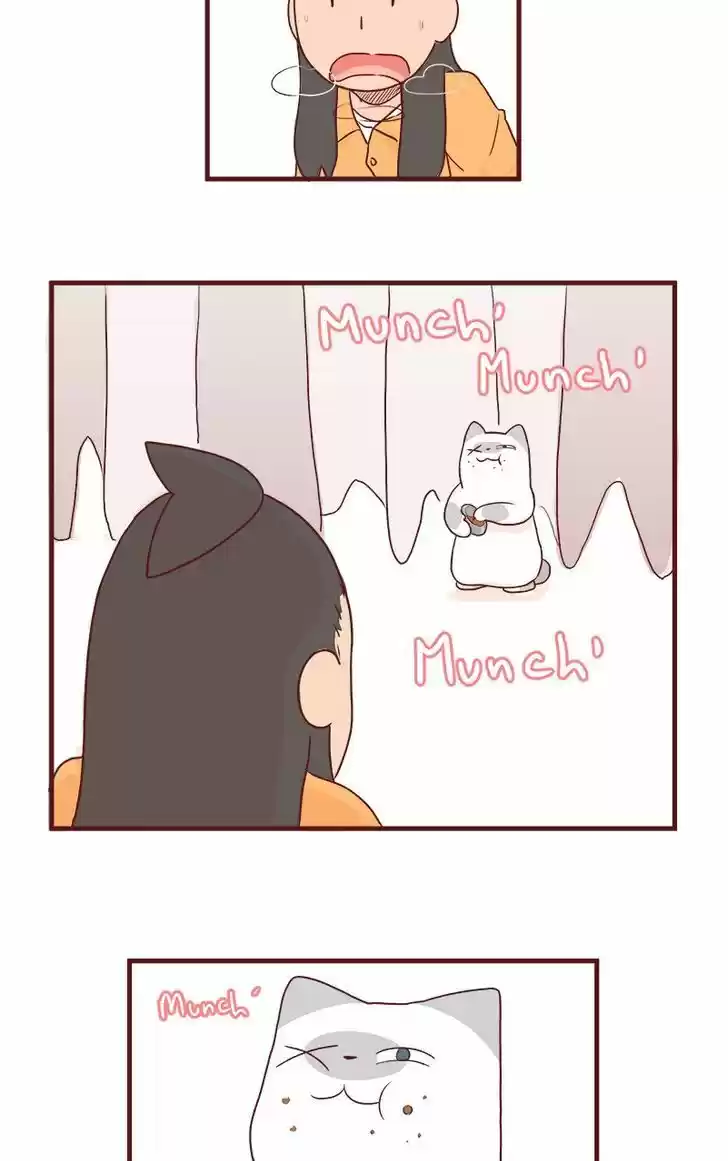 Saphie: The One-Eyed Cat 63