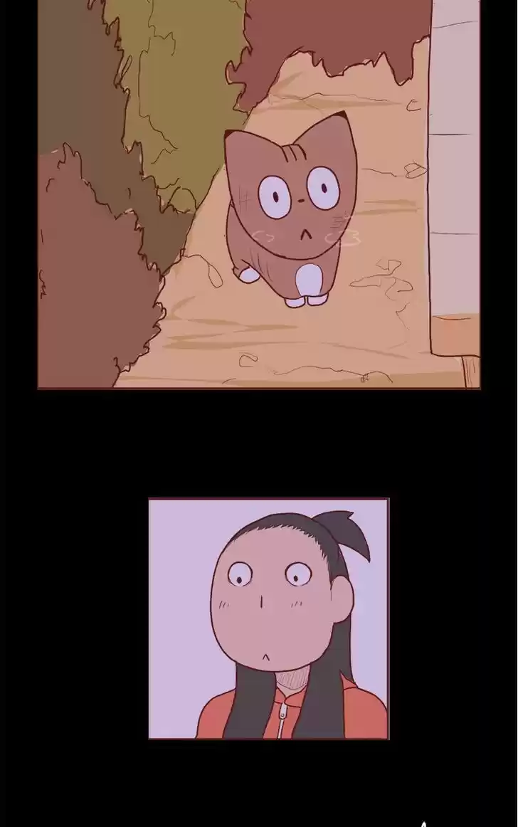 Saphie: The One-Eyed Cat 65