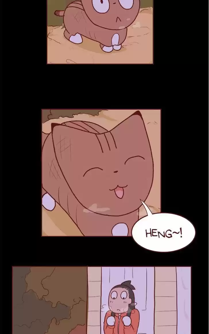 Saphie: The One-Eyed Cat 66