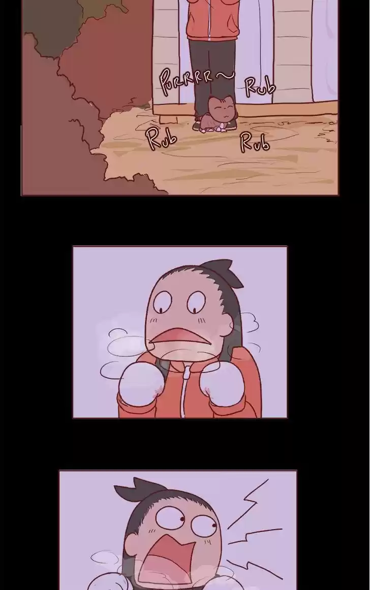 Saphie: The One-Eyed Cat 66