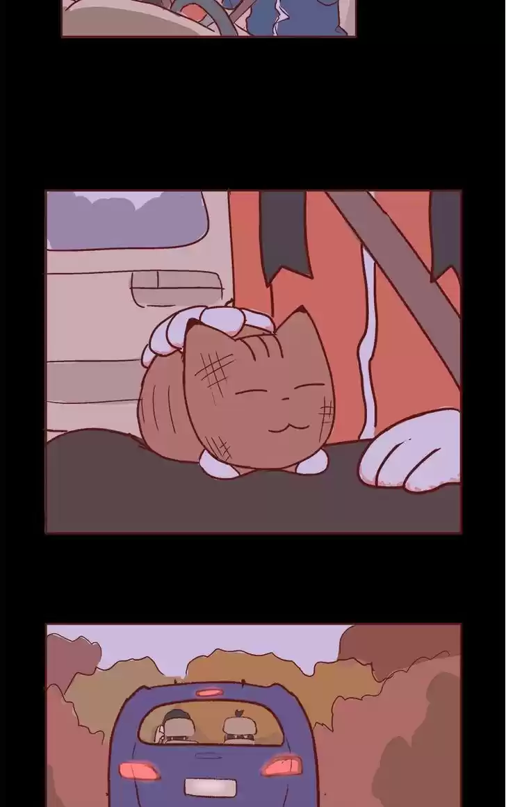 Saphie: The One-Eyed Cat 66