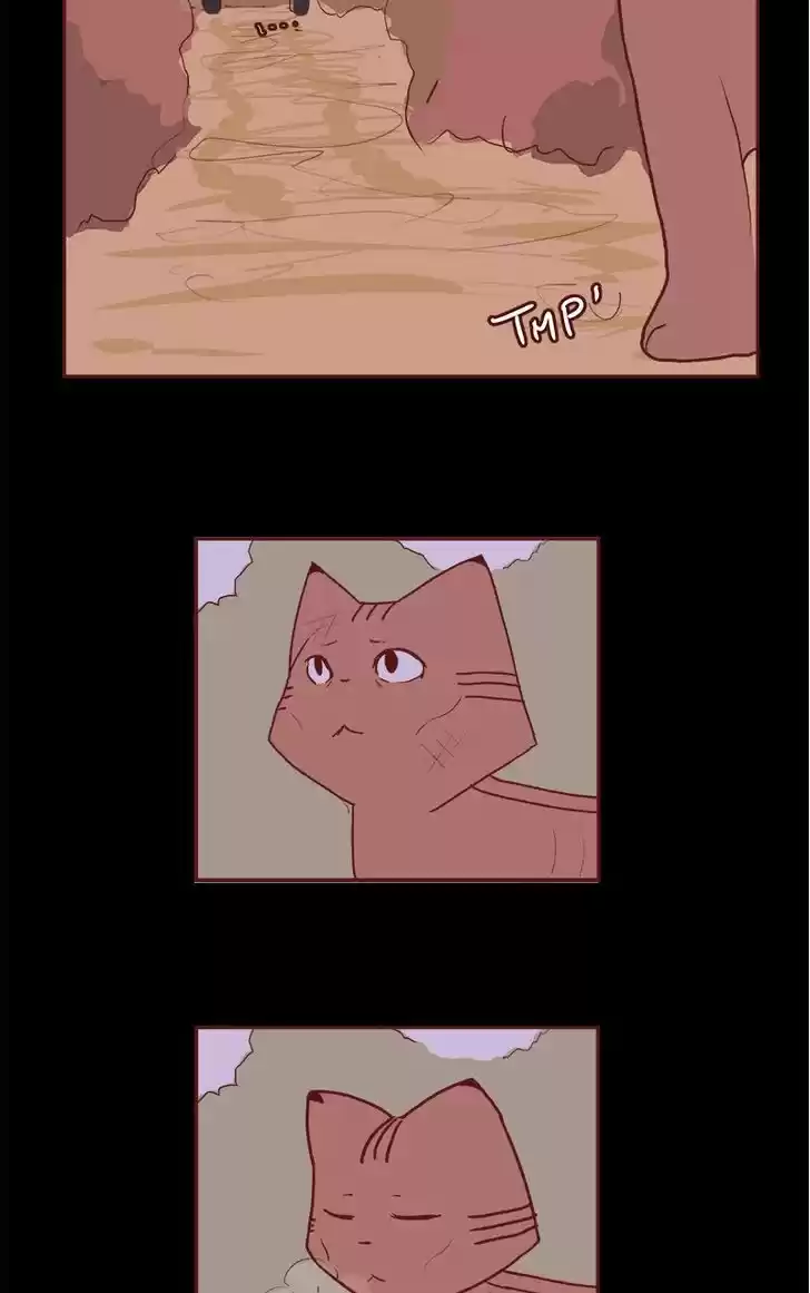 Saphie: The One-Eyed Cat 66