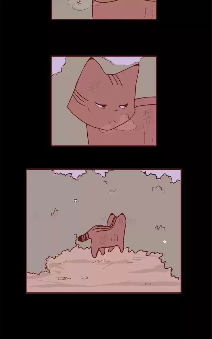 Saphie: The One-Eyed Cat 66