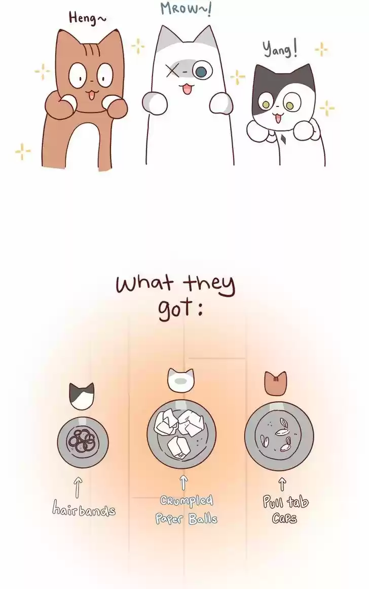 Saphie: The One-Eyed Cat 68