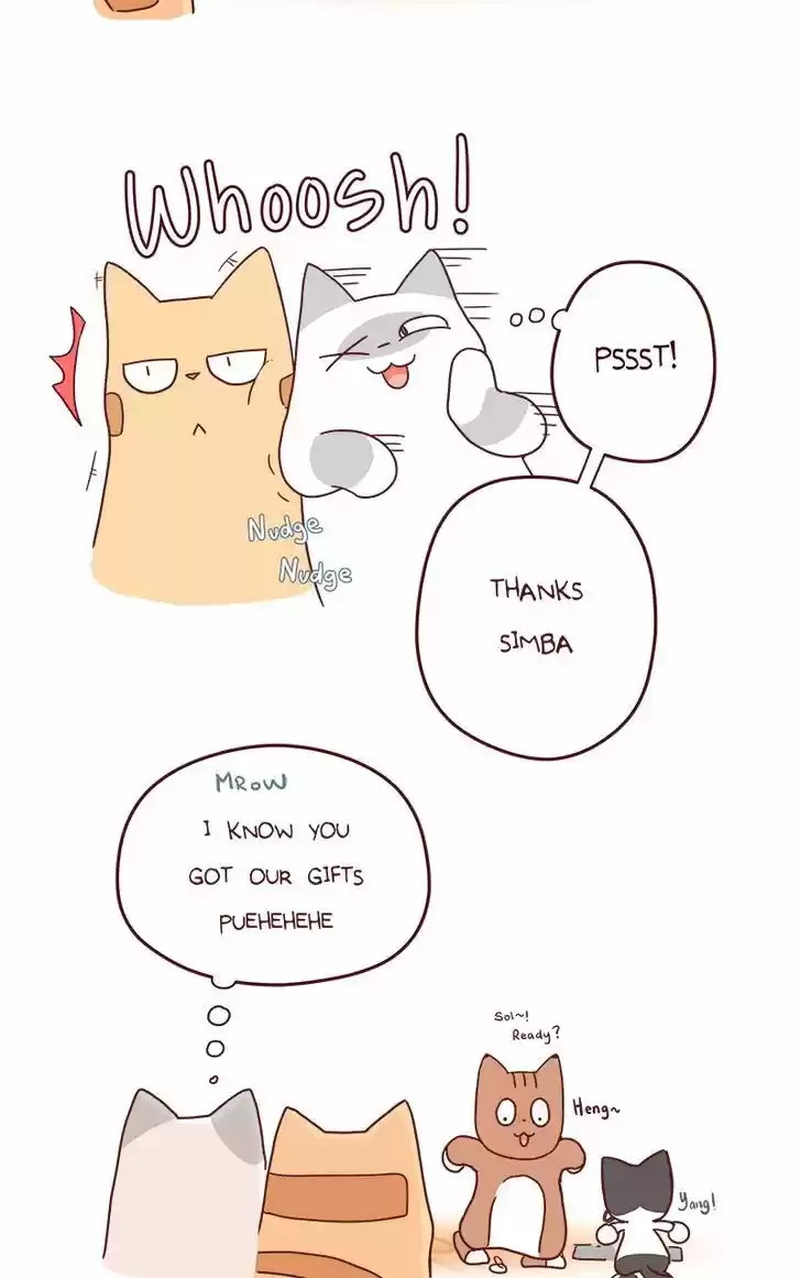 Saphie: The One-Eyed Cat 68