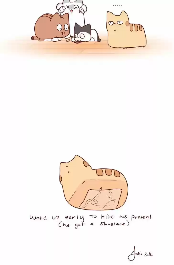 Saphie: The One-Eyed Cat 68