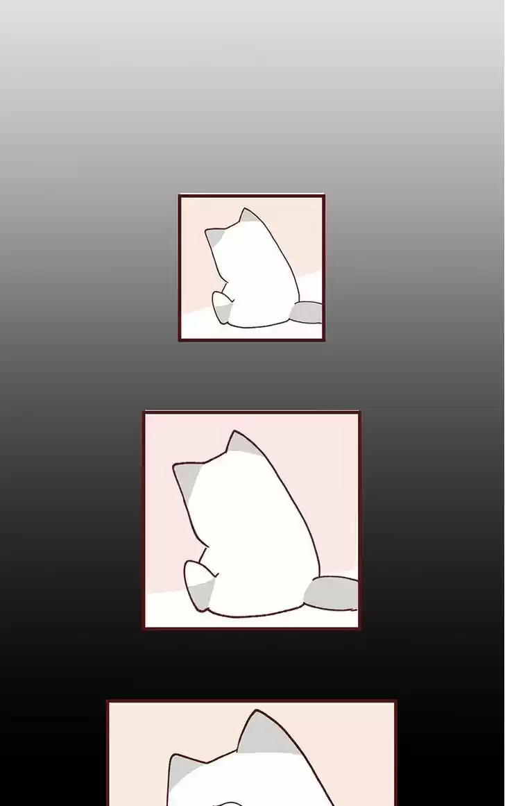 Saphie: The One-Eyed Cat 69