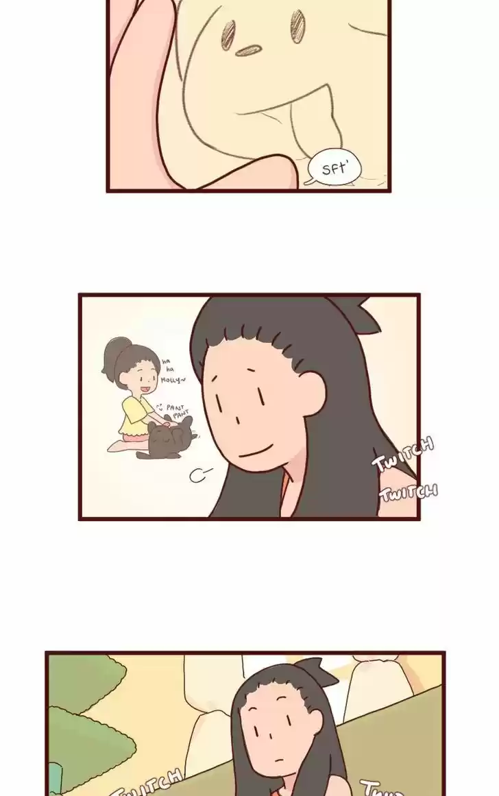 Saphie: The One-Eyed Cat 7