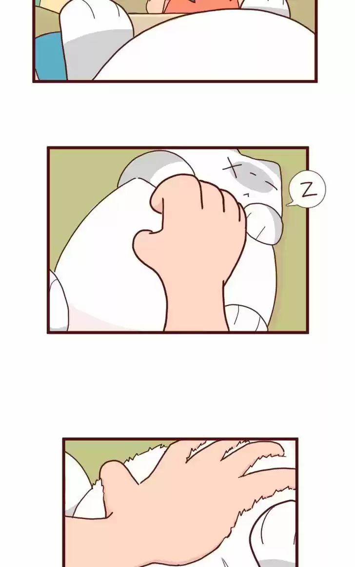 Saphie: The One-Eyed Cat 7