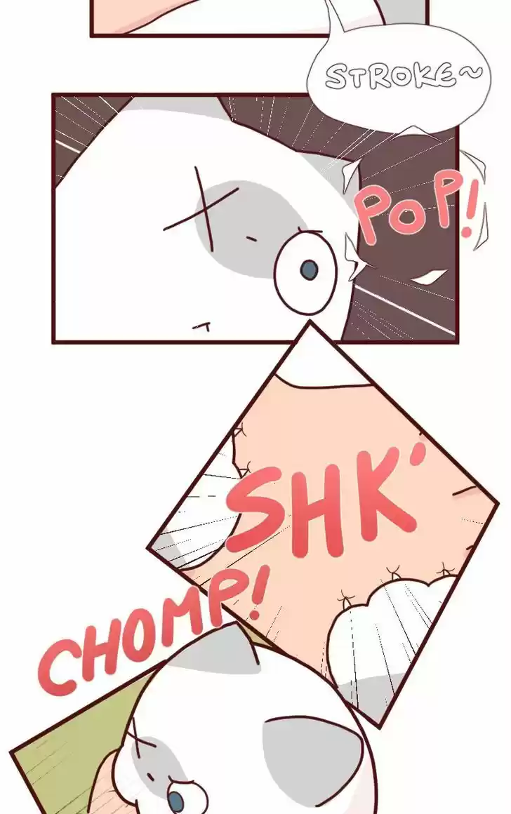 Saphie: The One-Eyed Cat 7