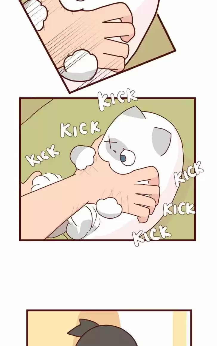 Saphie: The One-Eyed Cat 7