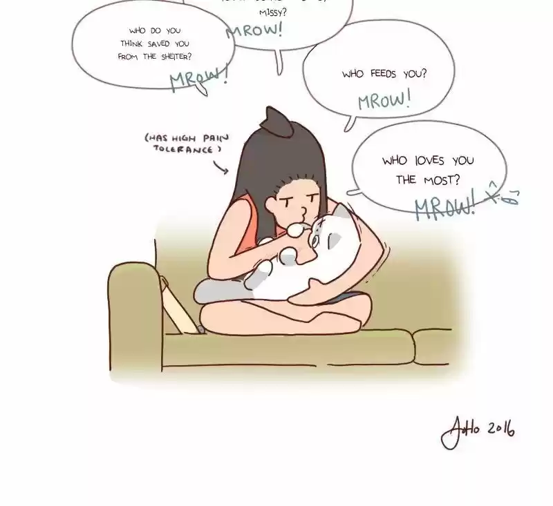 Saphie: The One-Eyed Cat 7