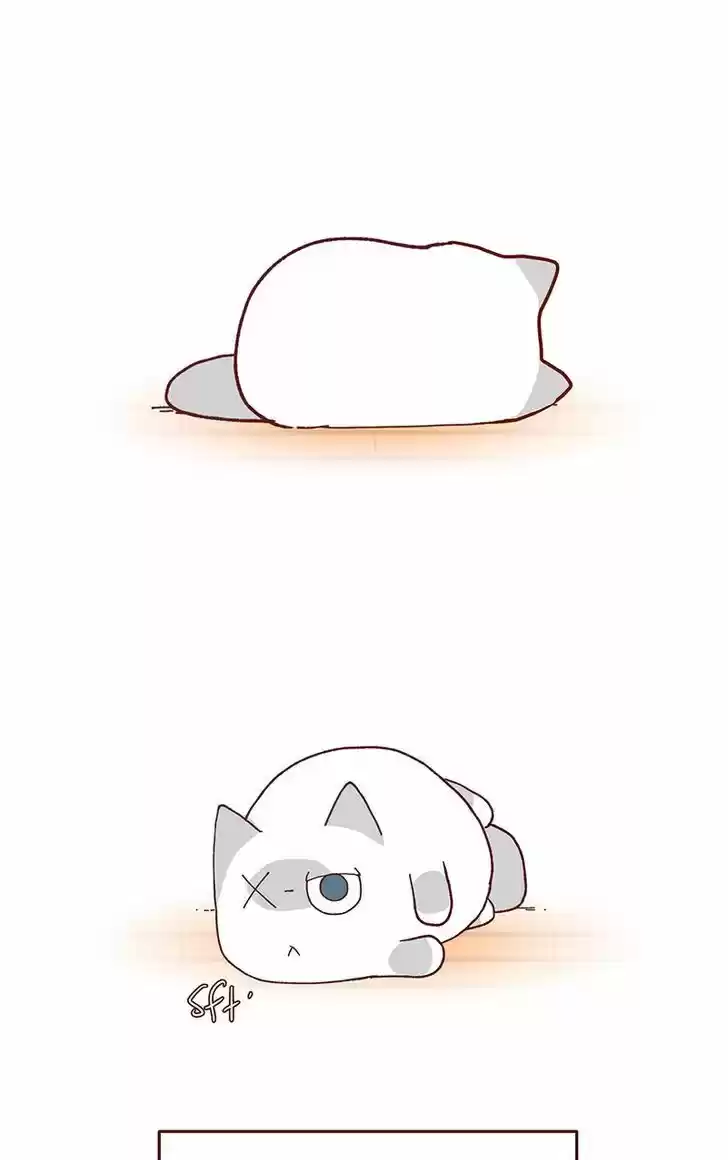 Saphie: The One-Eyed Cat 70