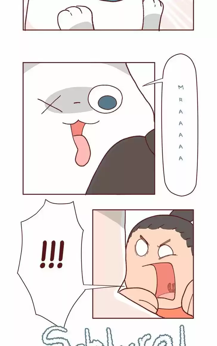 Saphie: The One-Eyed Cat 71