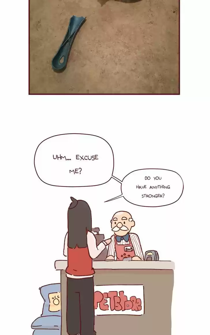 Saphie: The One-Eyed Cat 72