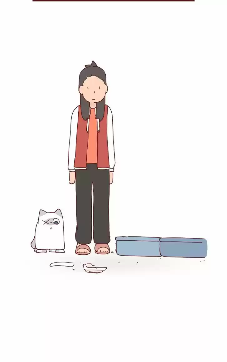 Saphie: The One-Eyed Cat 72