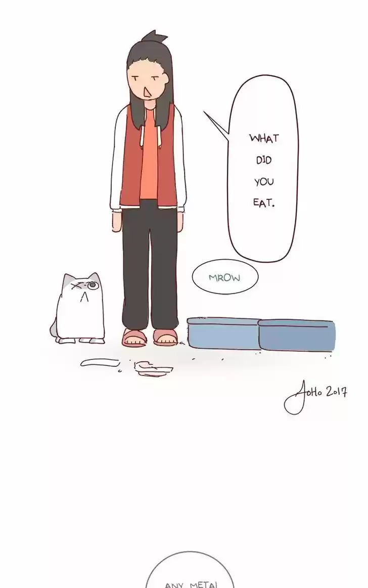 Saphie: The One-Eyed Cat 72