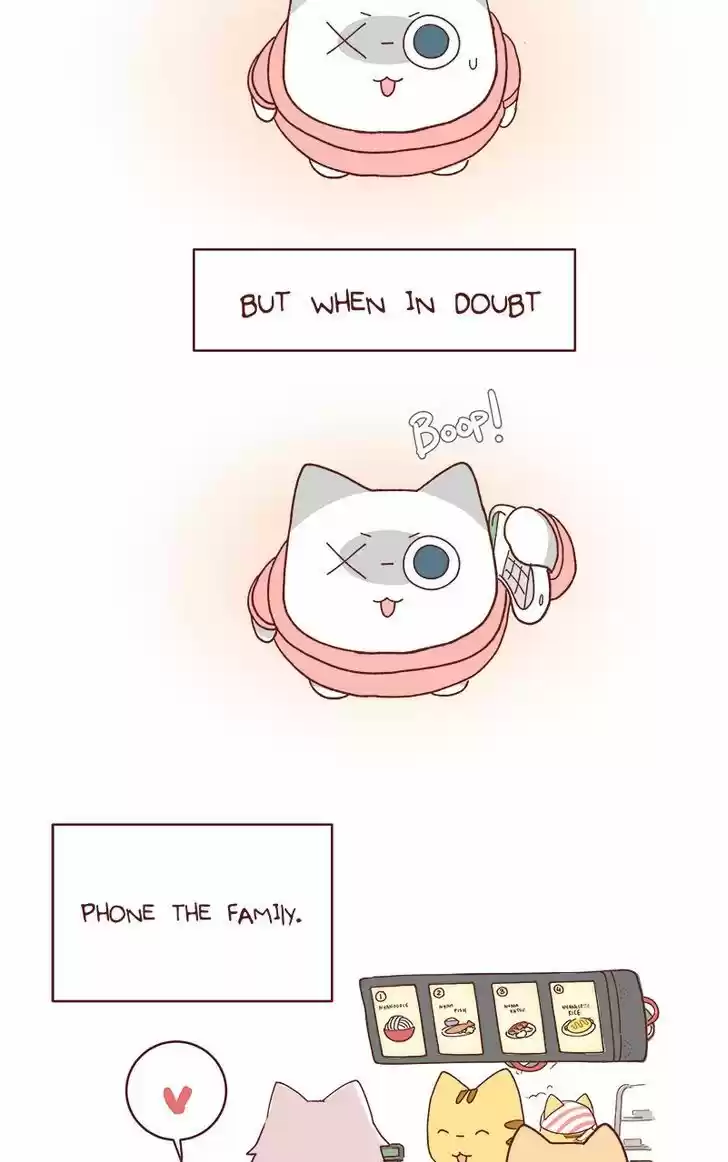 Saphie: The One-Eyed Cat 73