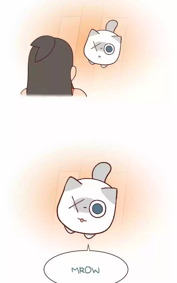 Saphie: The One-Eyed Cat 74