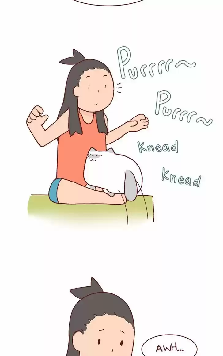 Saphie: The One-Eyed Cat 74