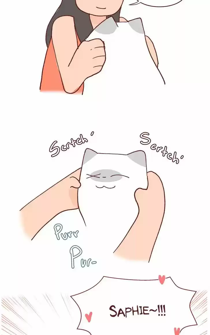 Saphie: The One-Eyed Cat 74