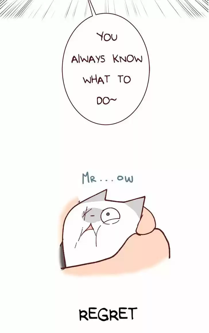 Saphie: The One-Eyed Cat 74