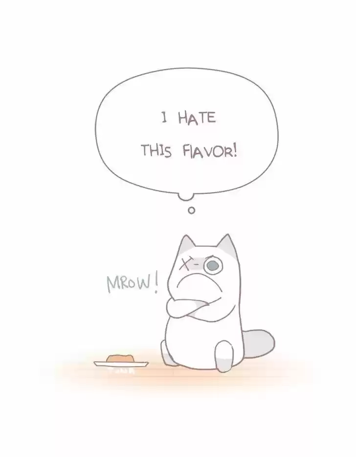 Saphie: The One-Eyed Cat 76