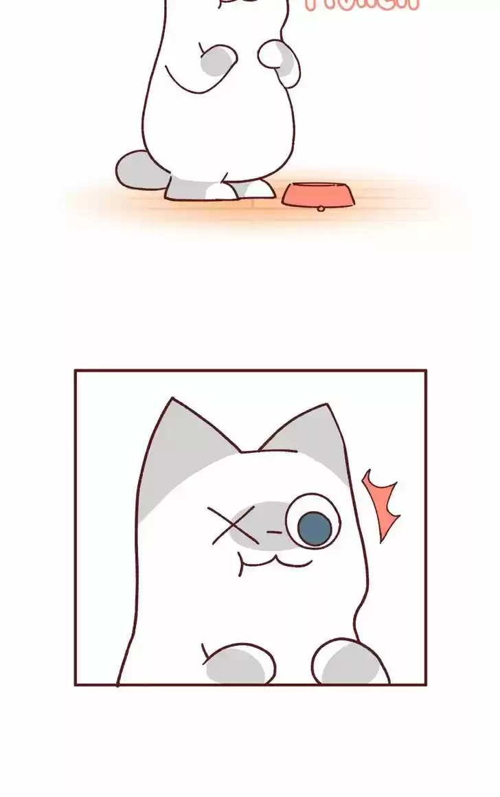 Saphie: The One-Eyed Cat 77