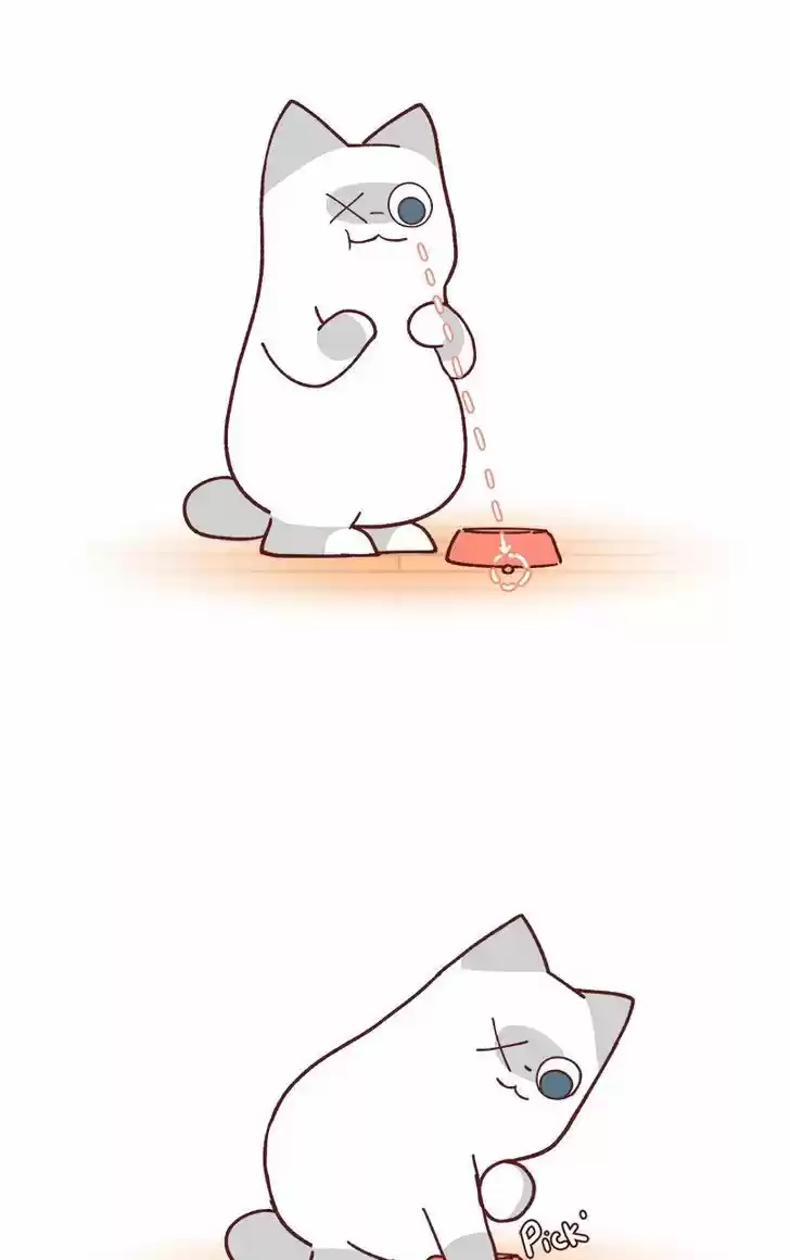 Saphie: The One-Eyed Cat 77