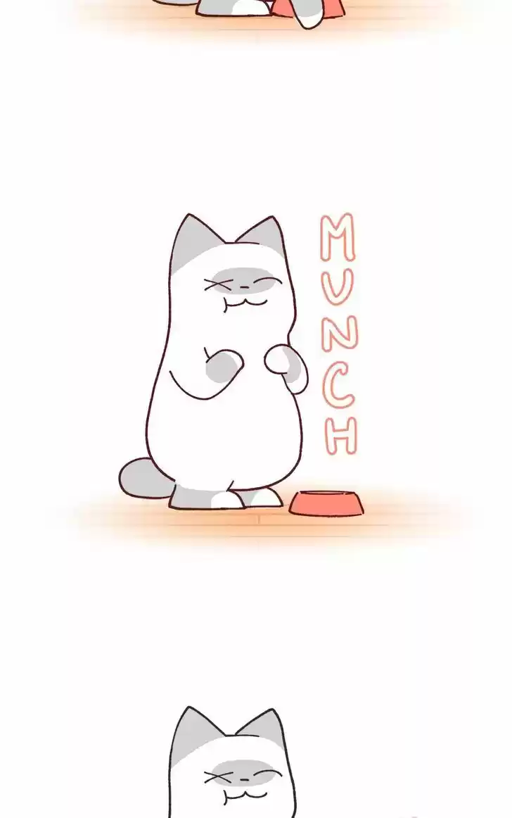 Saphie: The One-Eyed Cat 77