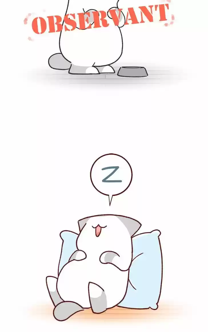 Saphie: The One-Eyed Cat 77