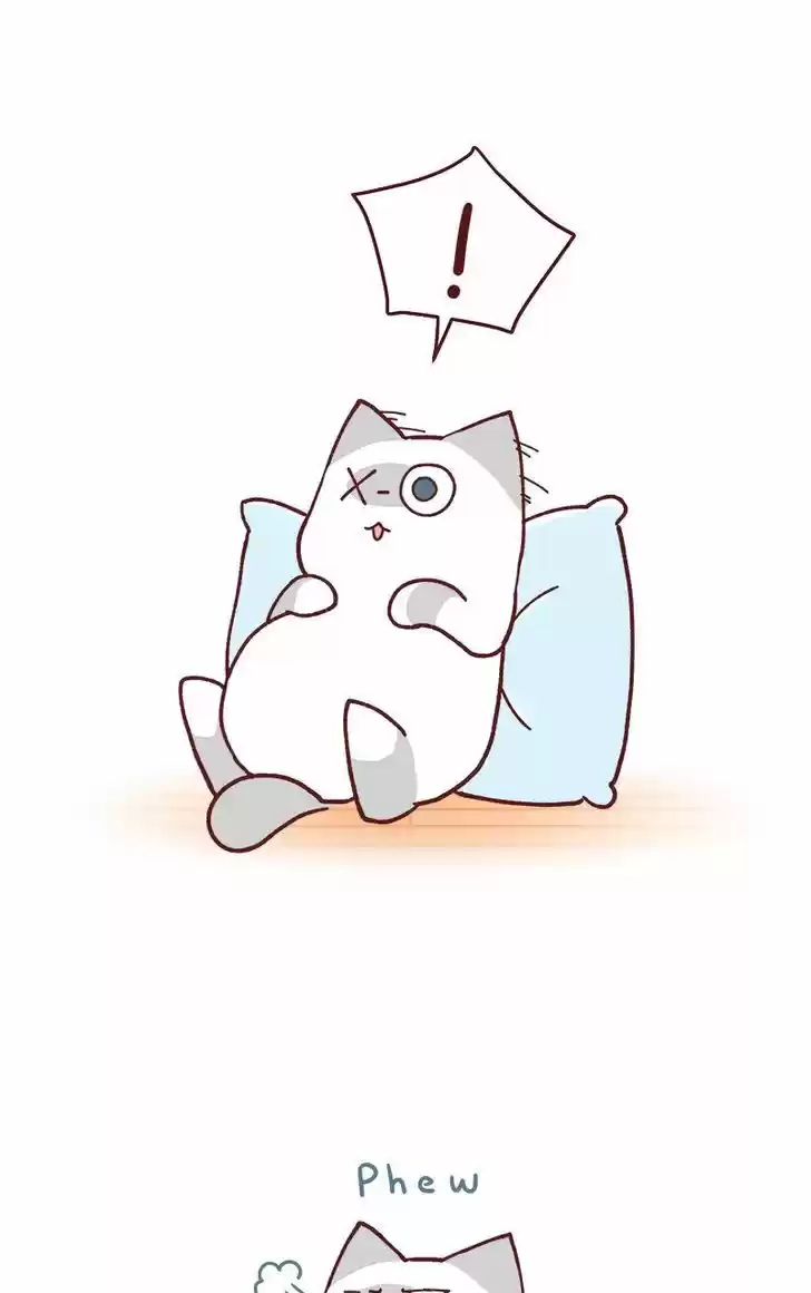 Saphie: The One-Eyed Cat 77