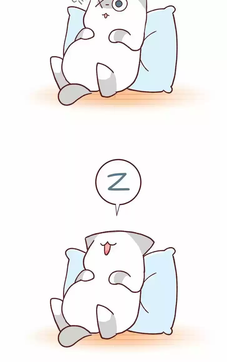 Saphie: The One-Eyed Cat 77