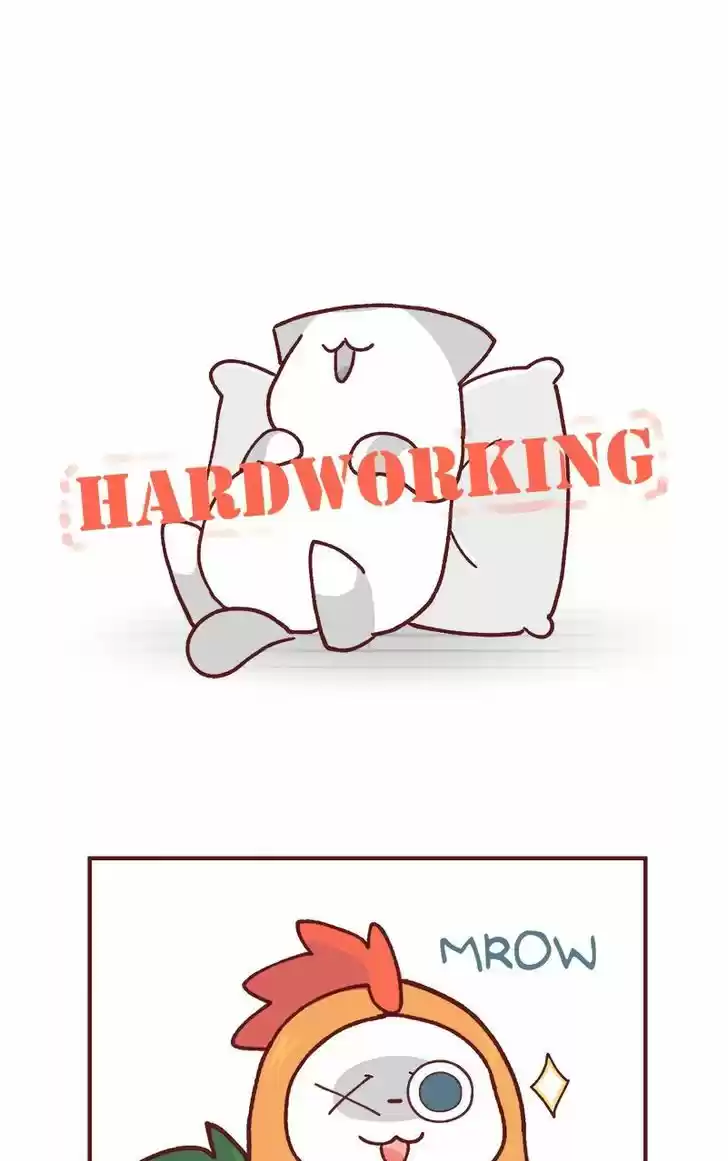 Saphie: The One-Eyed Cat 77