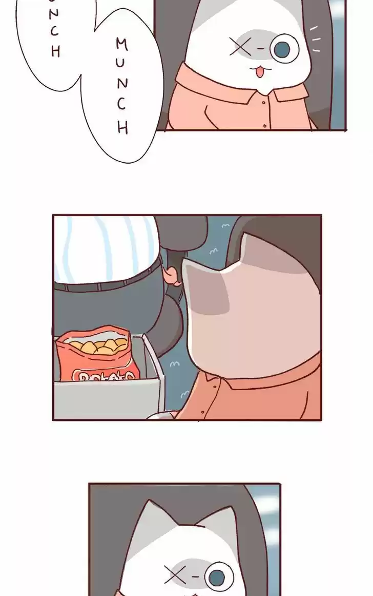 Saphie: The One-Eyed Cat 78