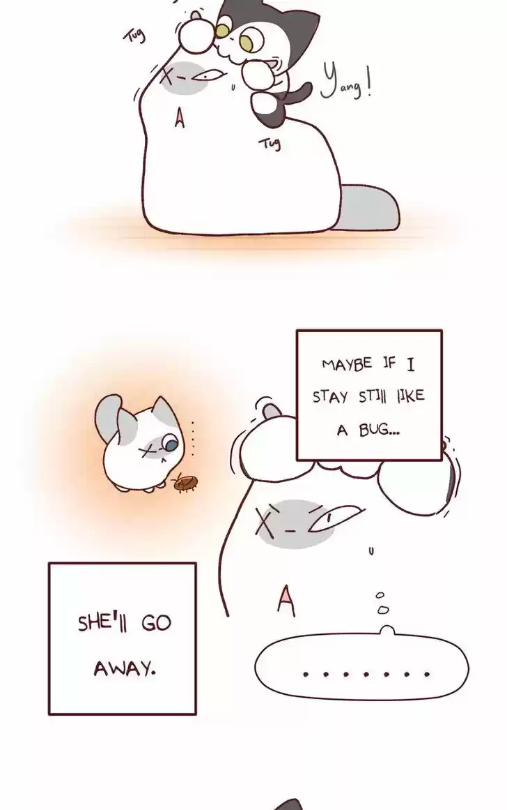 Saphie: The One-Eyed Cat 79