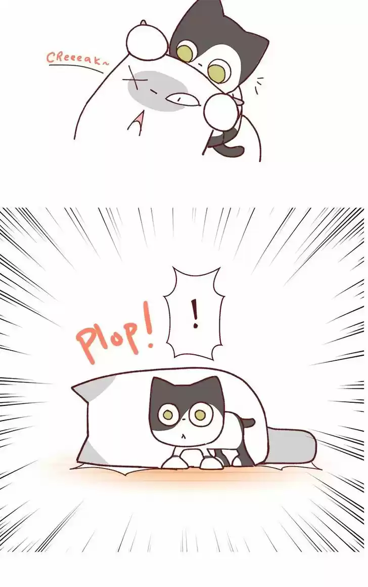 Saphie: The One-Eyed Cat 79