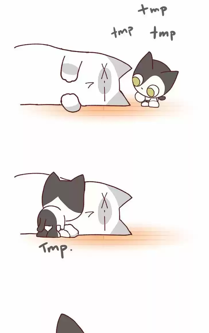 Saphie: The One-Eyed Cat 79