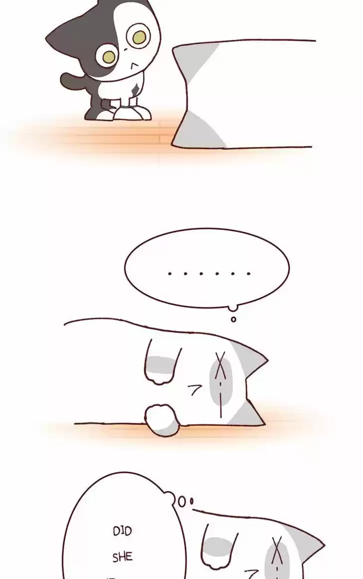 Saphie: The One-Eyed Cat 79