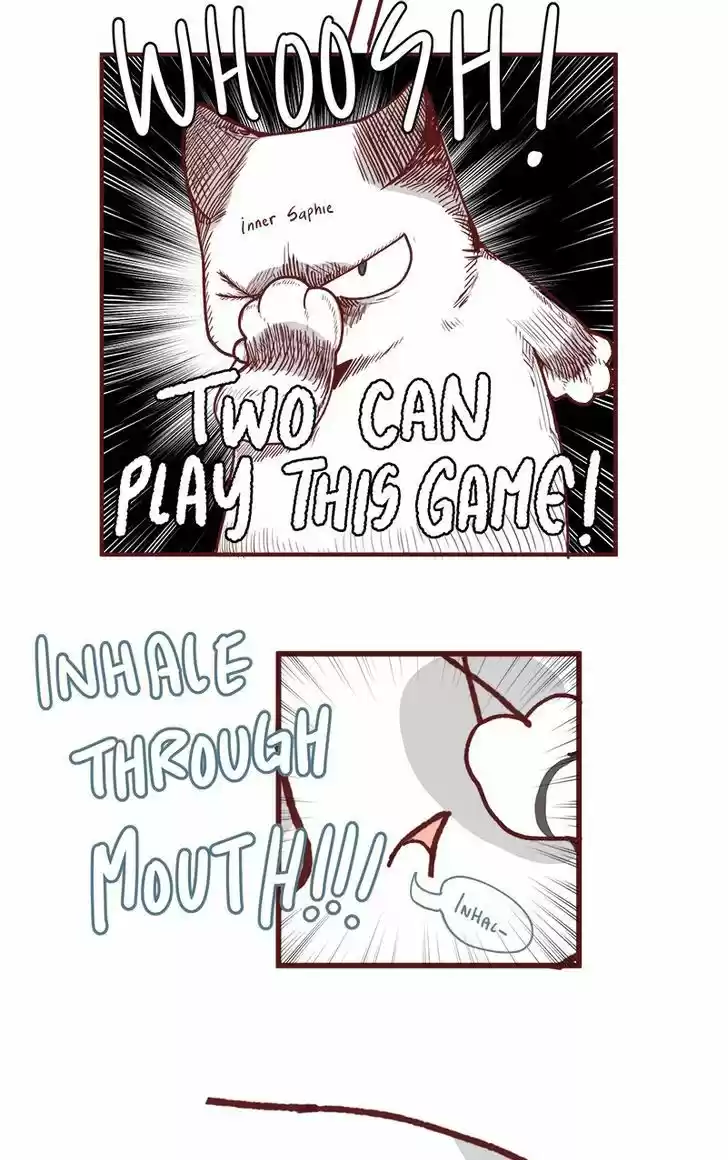 Saphie: The One-Eyed Cat 79