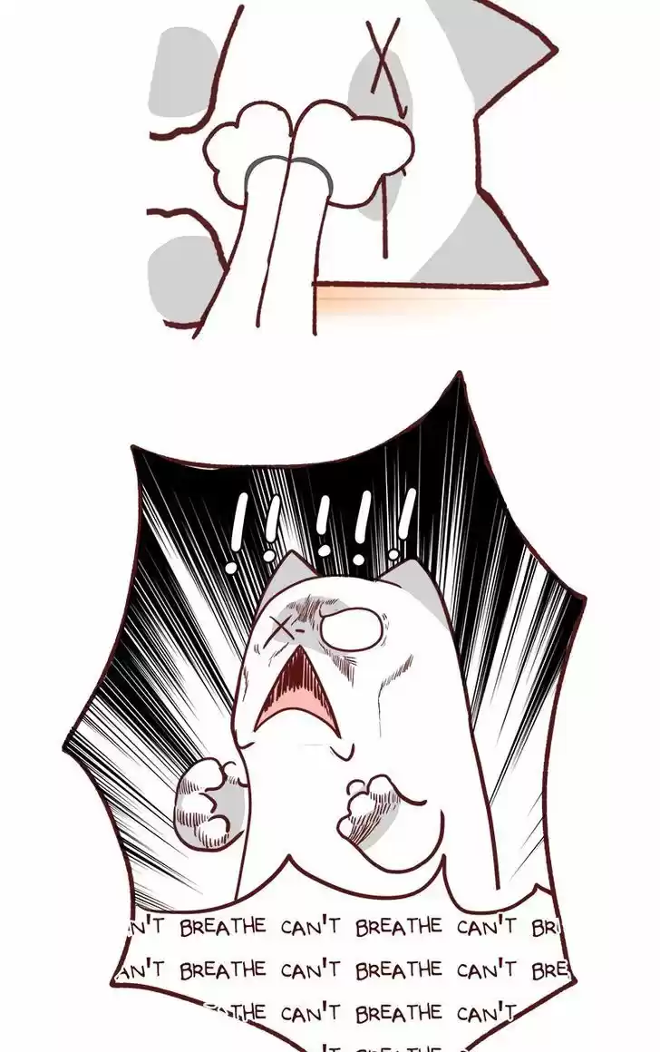 Saphie: The One-Eyed Cat 79